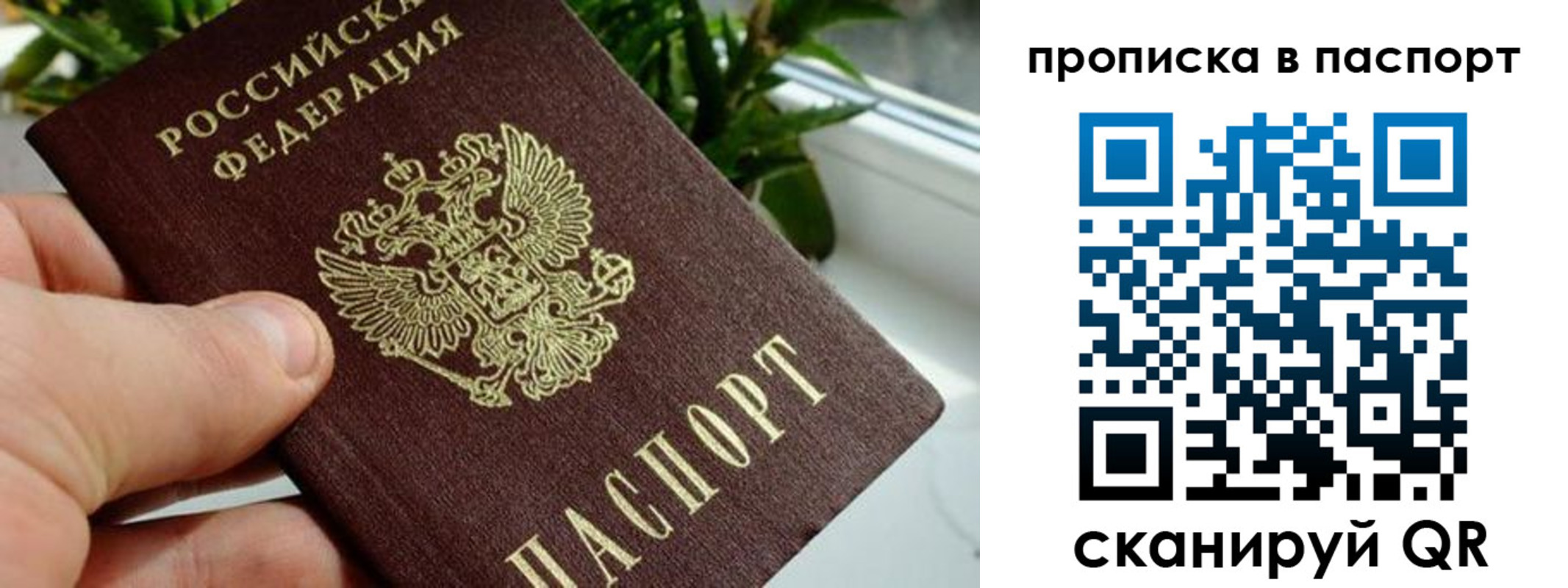 пропишу в квартире в Отрадном